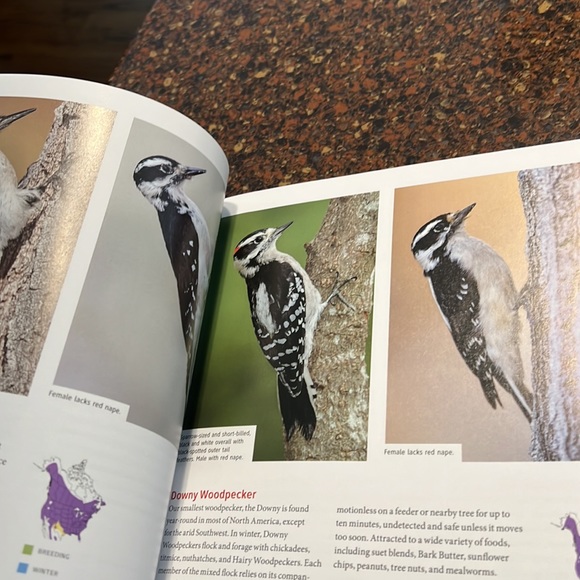 The Joy of Bird Feeding book - Picture 3 of 6